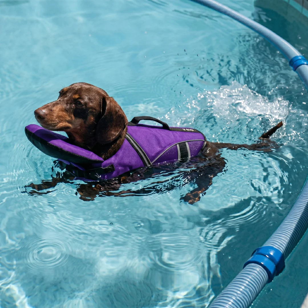 Safer Water Adventures Start Here.