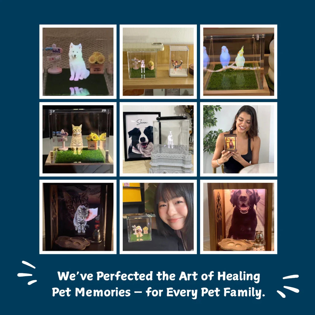Everwood Box — Pet Hologram Keepsake Box