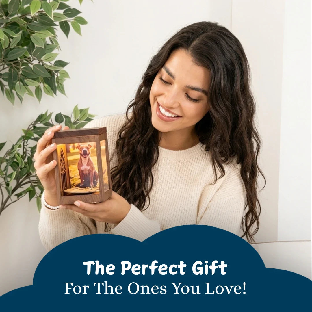 Everwood Box — Pet Hologram Keepsake Box