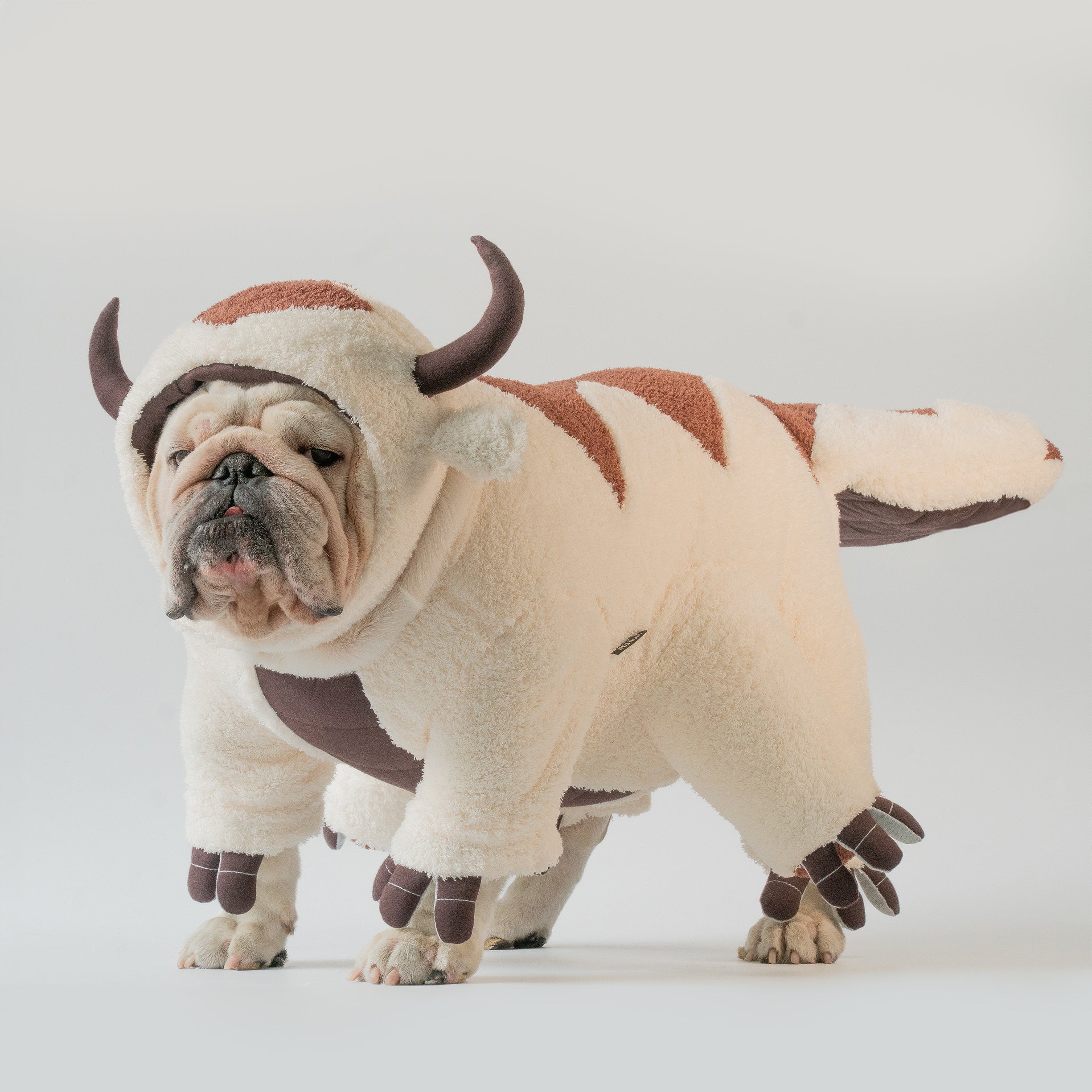Sky Bison costume
