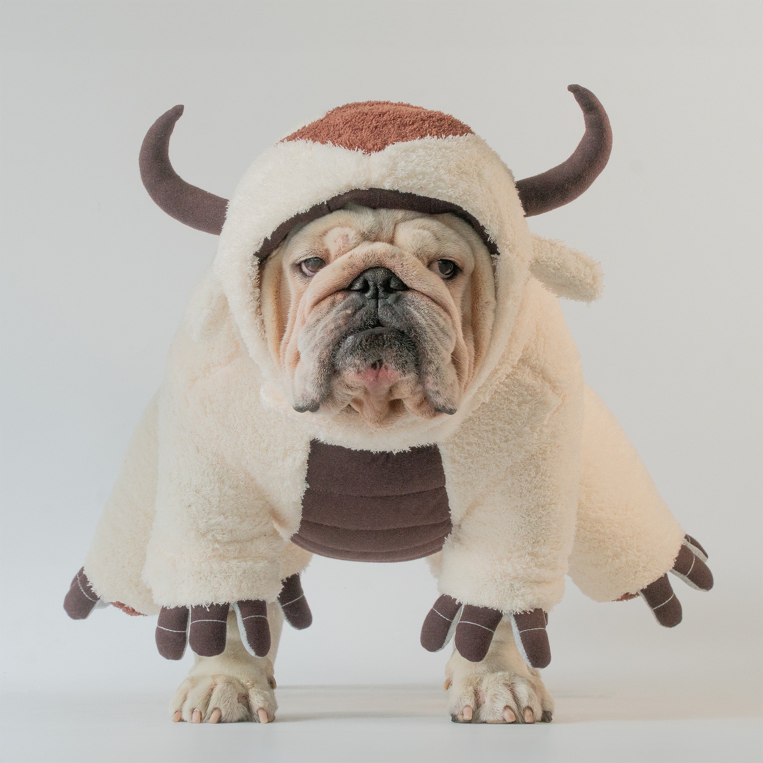 Sky Bison costume