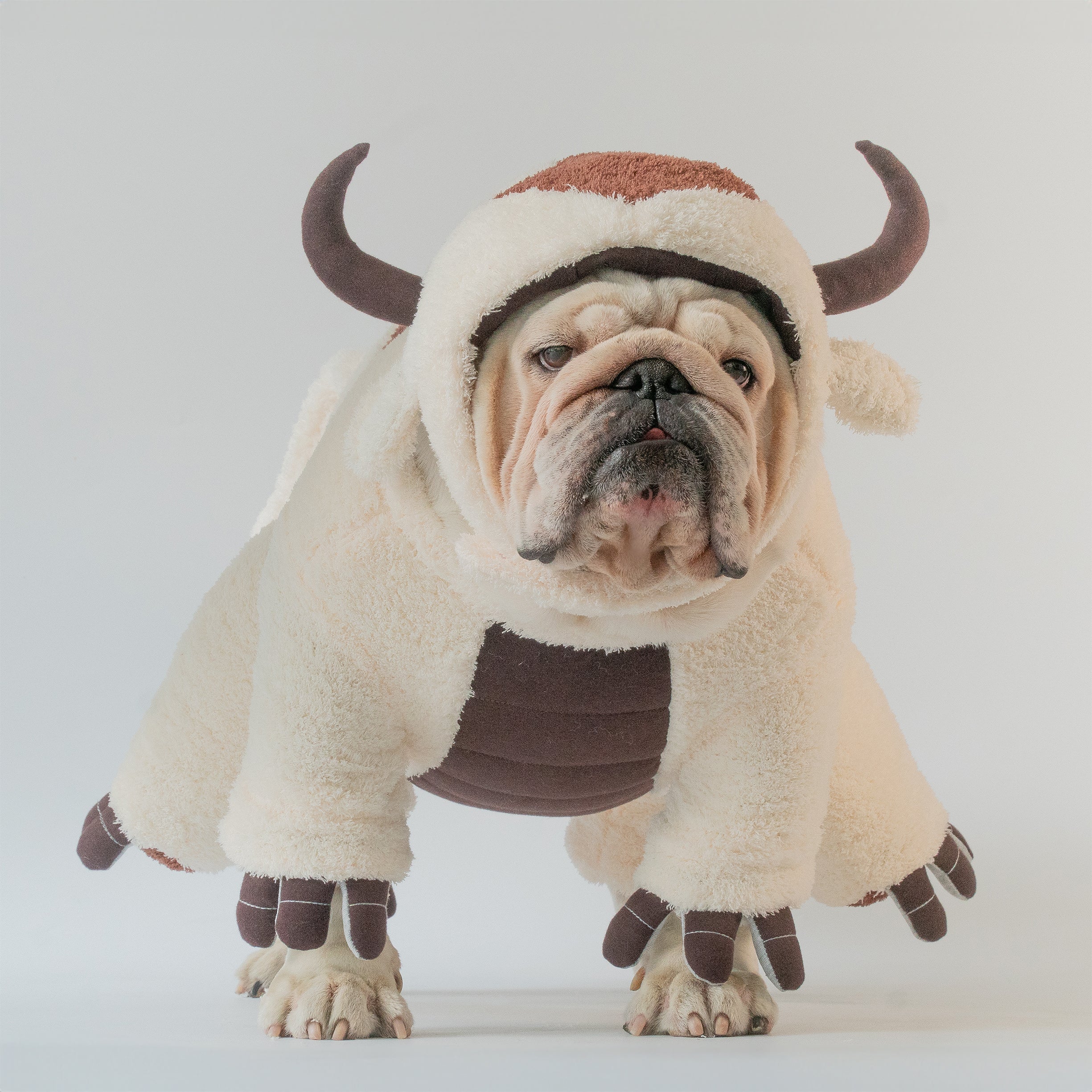 Sky Bison costume