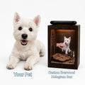 Everwood Box — Pet Hologram Keepsake Box