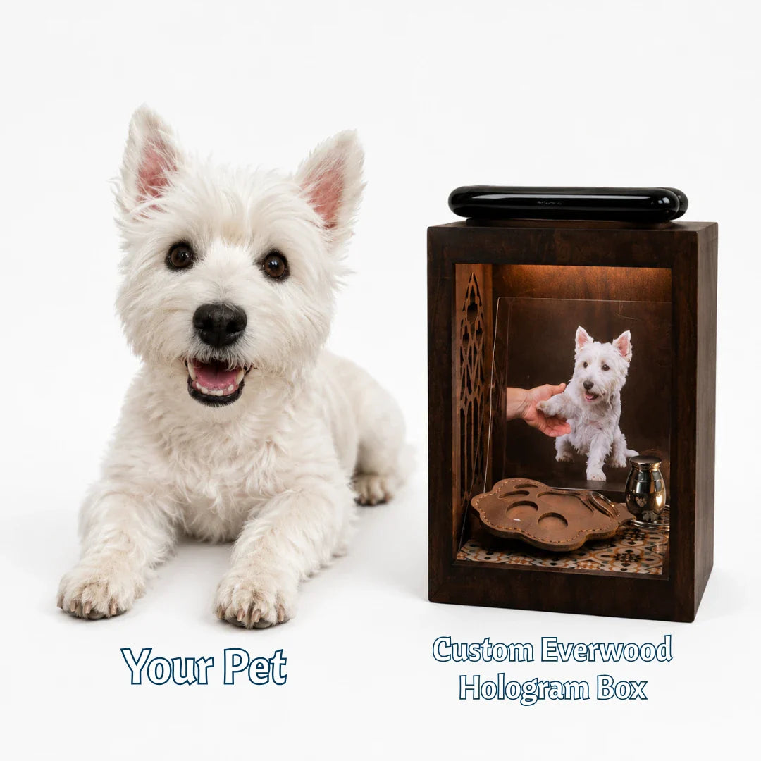 Everwood Box — Pet Hologram Keepsake Box